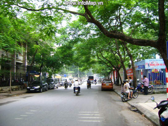 Phố Hoa Lư, Quận Hai Bà Trưng, Hà Nội